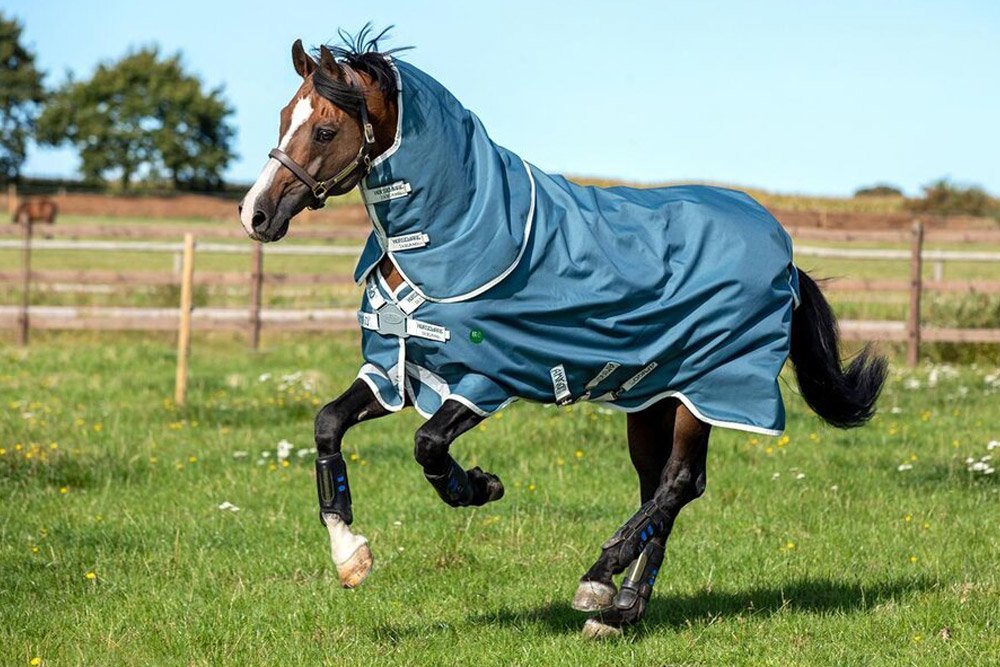 horse rugs